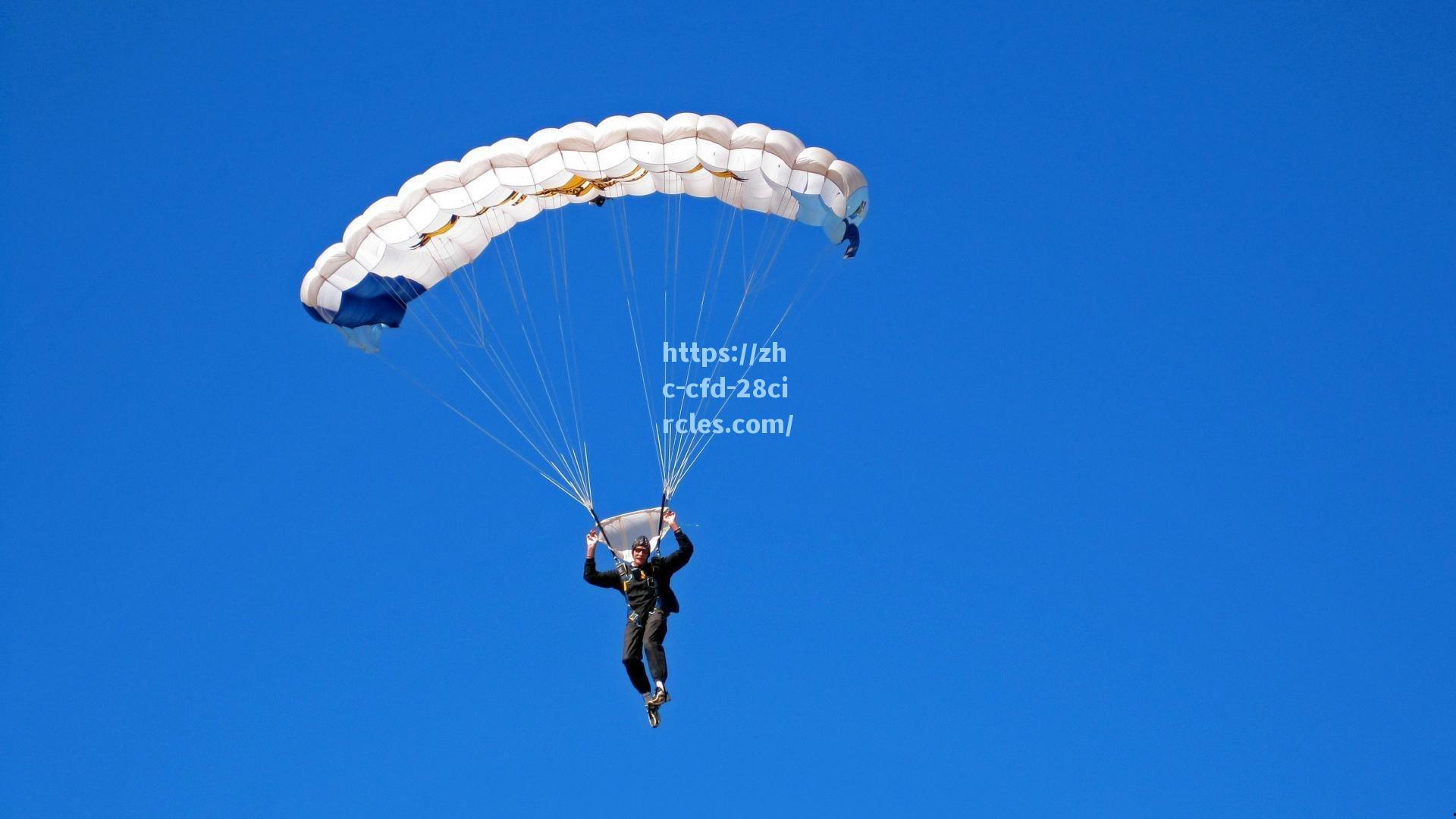 【28圈网页版】北非雄狮对决特兰加雄狮，非洲杯决赛上演马格里布与西非巅峰之战